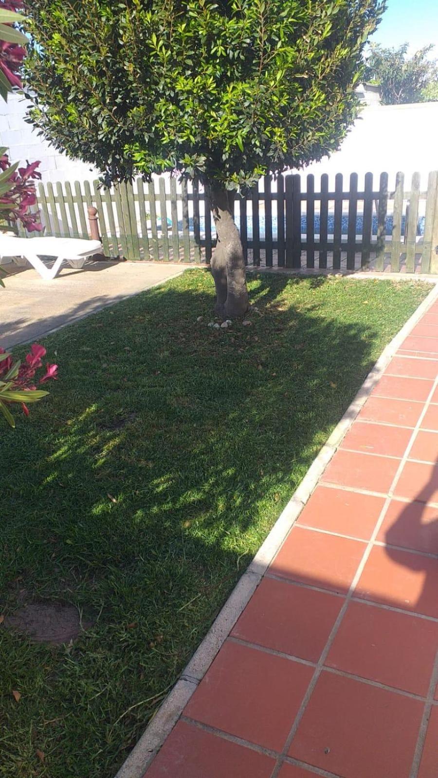 Bellavista De Conil Villa Conil De La Frontera Dış mekan fotoğraf