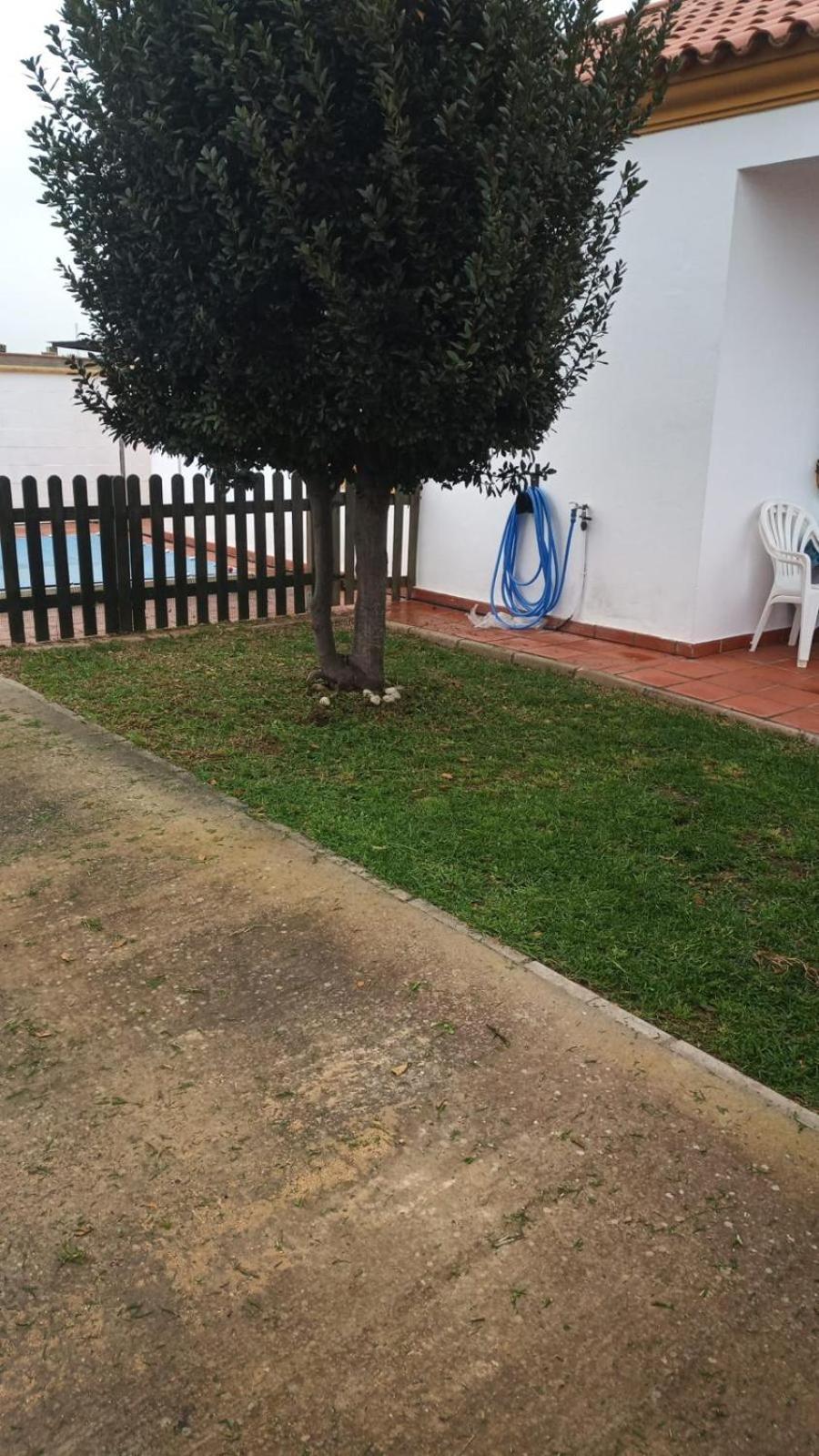 Bellavista De Conil Villa Conil De La Frontera Dış mekan fotoğraf